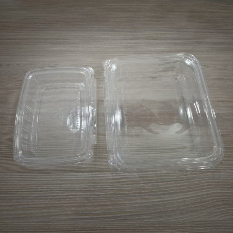 Hinged Clamshell PET Salad Transparent Box Container Bowl