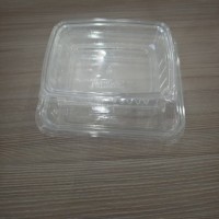 Hinged Clamshell PET Salad Transparent Box Container Bowl