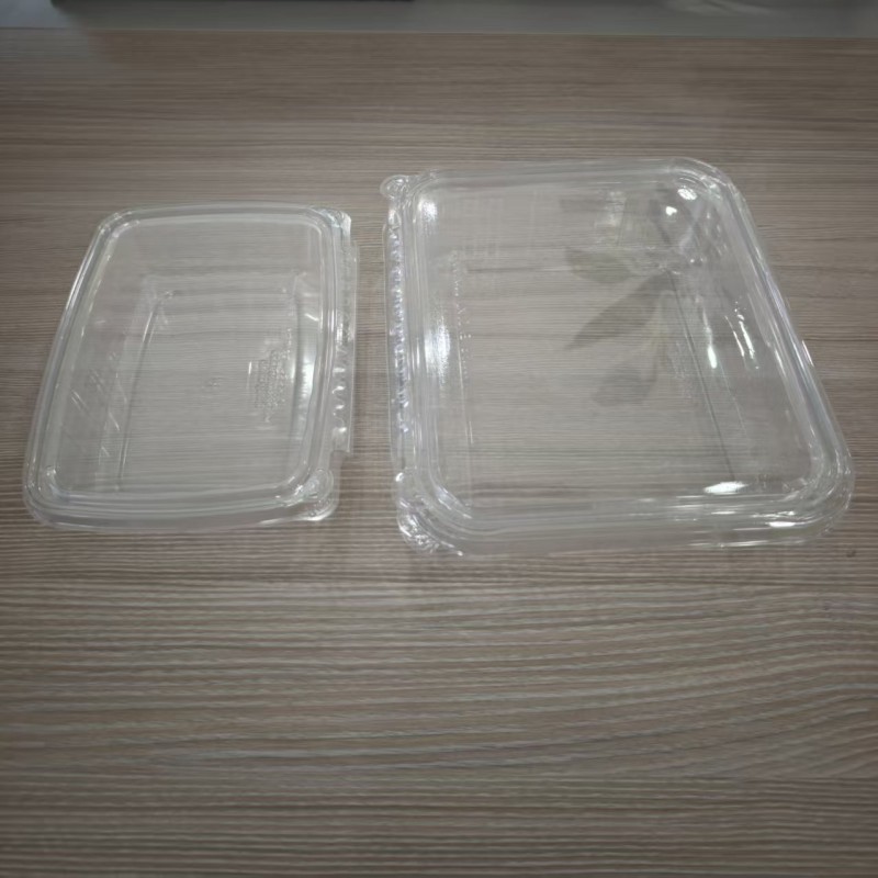PET Salad Transparent Container