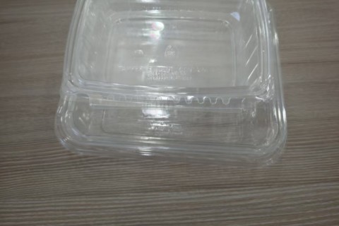 Hinged Clamshell PET Salad Transparent Box Container Bowl