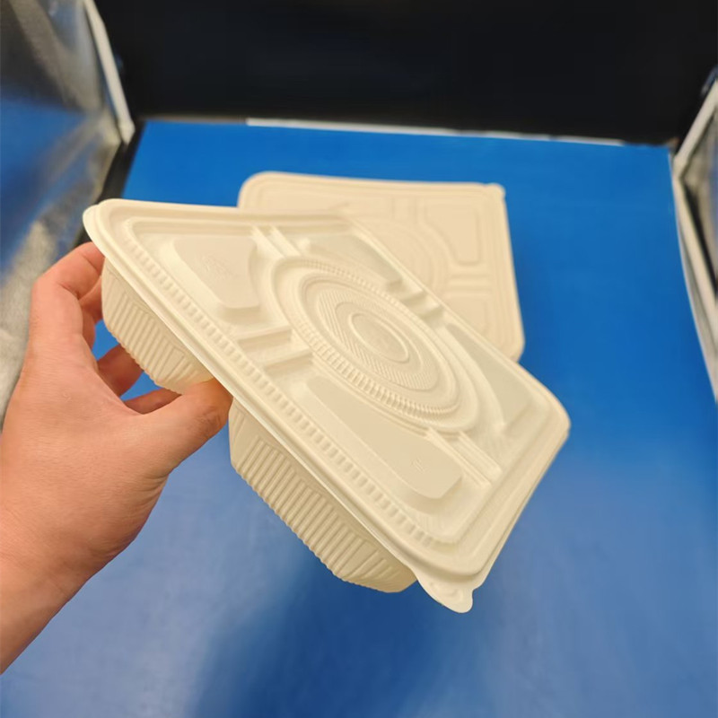 PLA Disposable Food Containers