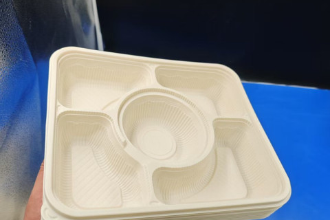Disposable PLA Food Box