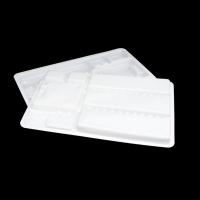 PET/PVC/PP Blister Tray Medical Packing Tray