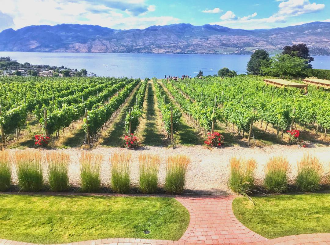 DFYF-117A Lubricant Oxidation Stability Tester (Rotating Pressure Vessel Method)