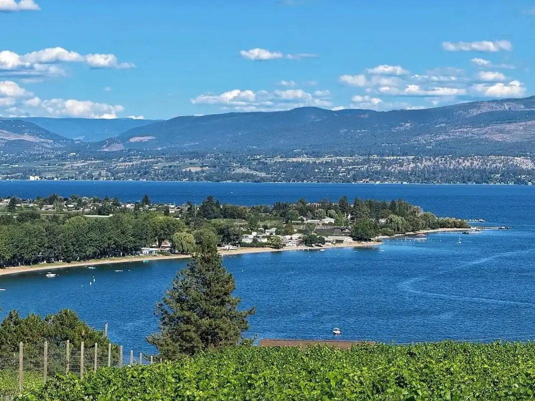 DFYF-109Z Fully Automatic Open Cup Flash Point Tester