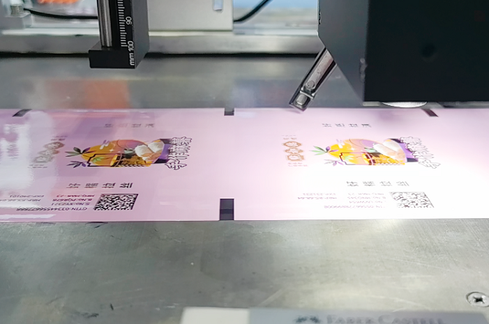 Bentsai E62WP IP66 Suport scaner extern și verificator de greutate