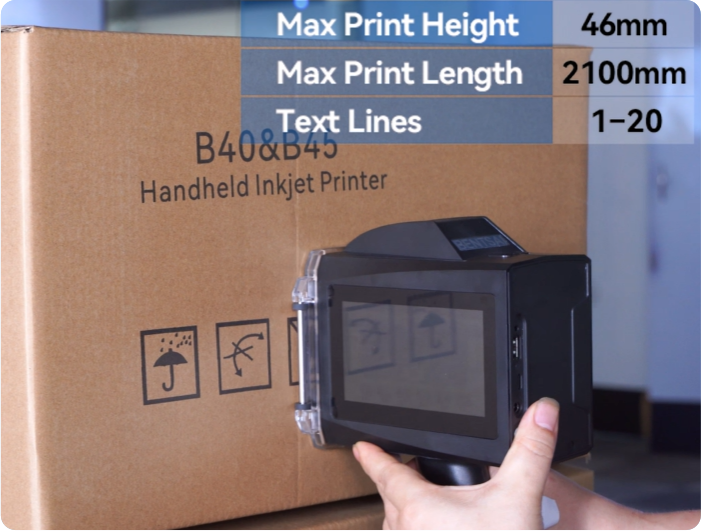 Applicazione per la stampa di cartoni Bentsai B40