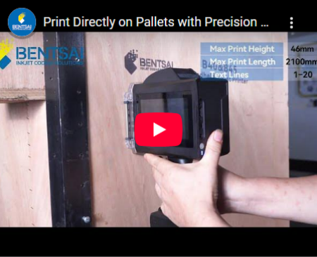 B40 2-Inch Inkjet Coding Printer Print Directly on Pallets with Precision Demo