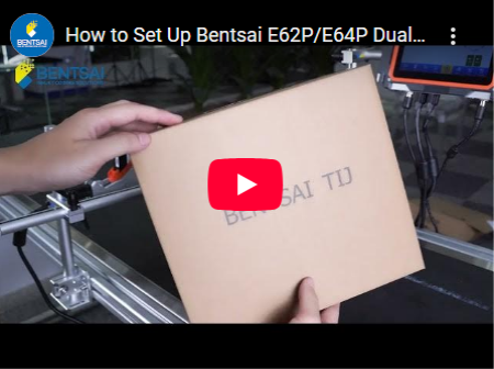 Cách thiết lập đầu in kép Bentsai E62P/E64P để in ngược chiều | Hướng dẫn từng bước