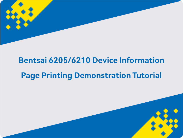Demonstrasjonsveiledning for utskrift av enhetsinformasjonsside for Bentsai 6205/6210