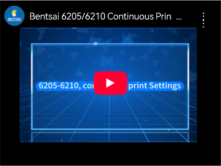 Bentsai 6205 6210 Continuous Printing Setup Tutorial