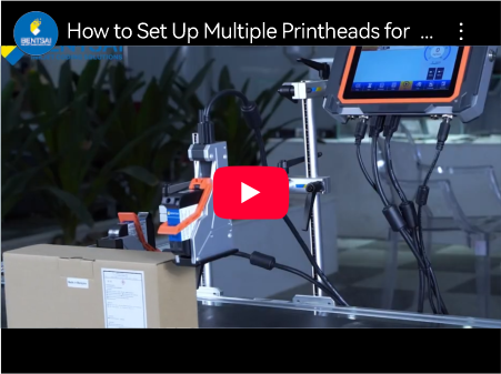 So richten Sie mehrere Druckköpfe für unabhängiges Drucken ein | Bentsai E64P Inline-Drucker-Handbuch