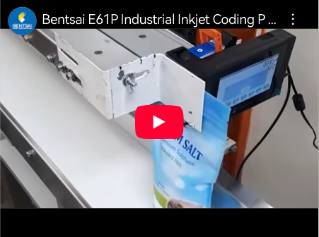 Impresora de codificación de inyección de tinta industrial Bentsai E61P | Impresión en bolsas de sal | Aplicación real
