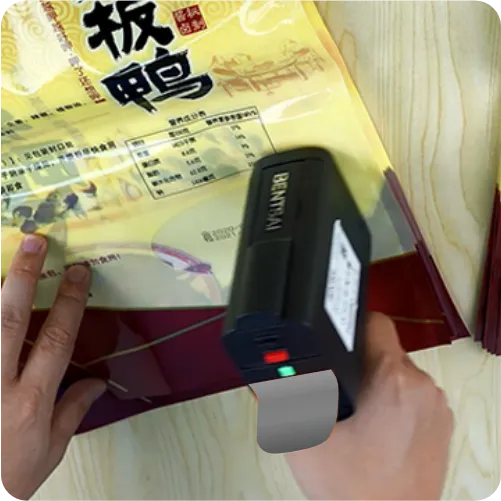 Handheld inkjet printer