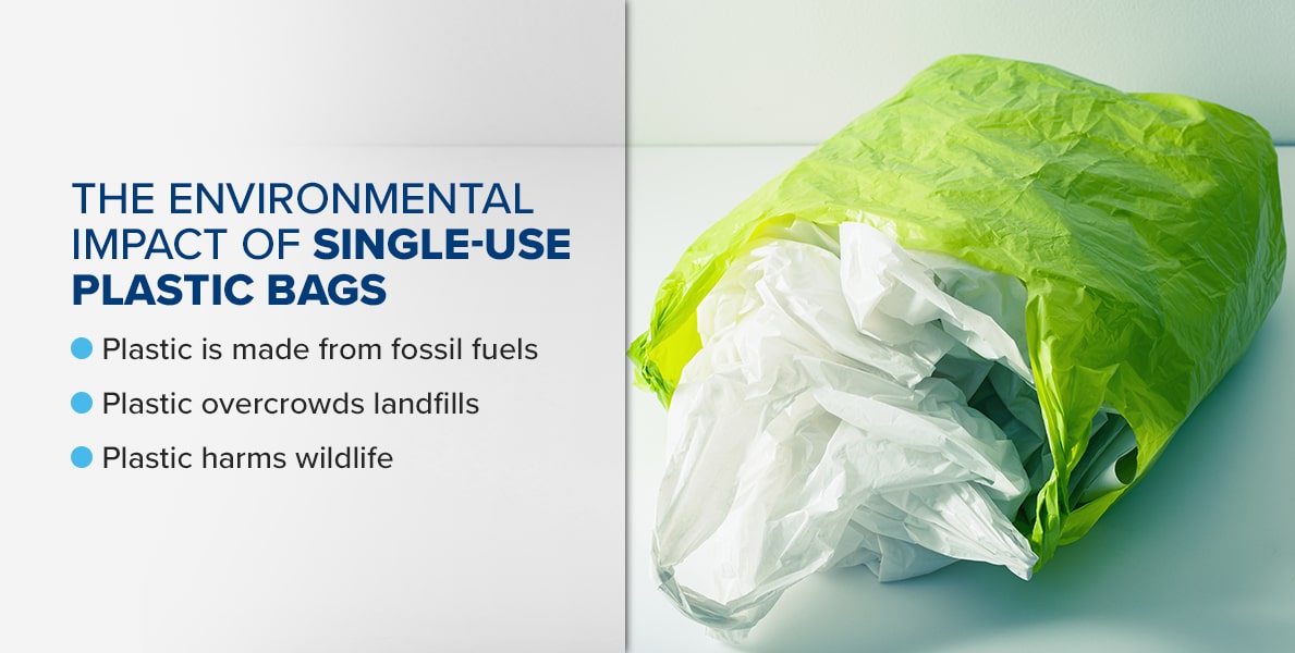Esplorare alternative sostenibili ai sacchetti di plastica
