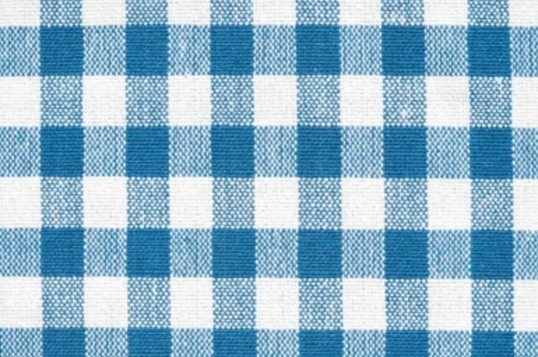 Why is Check Fabric so appealing to you?