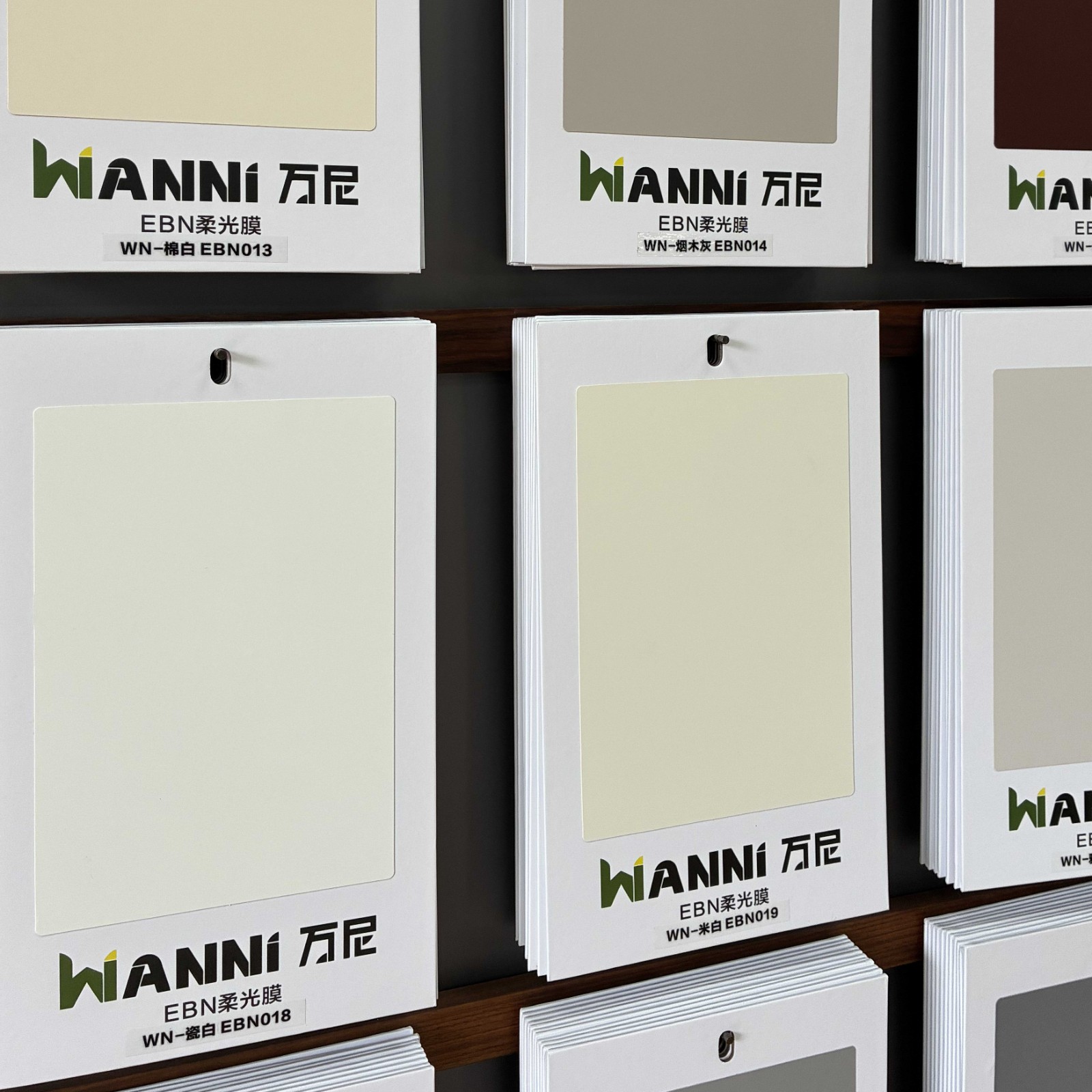 PETG EBN Soft Light Film PETG EBN Soft Light Film