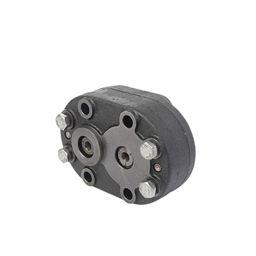 Cast Iron Gear Pump For Truck
