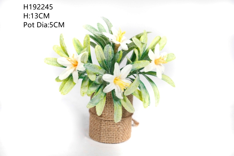 Cây cảnh nhỏ để trang trí lễ Phục sinh