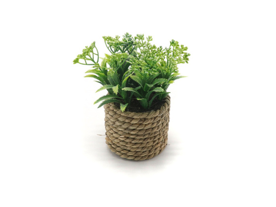 El escritorio está decorado con pequeñas plantas verdes artificiales.