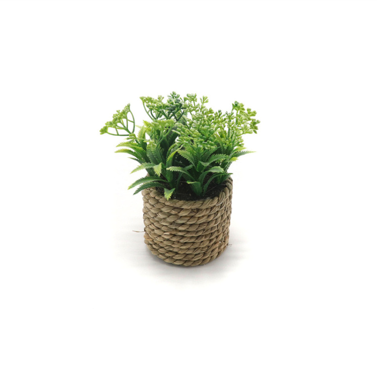 Bàn Làm Việc Được Trang Trí Bằng Những Cây Xanh Nhân Tạo Nhỏ