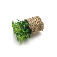 Le bureau est décoré de petites plantes vertes artificielles