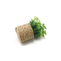 Le bureau est décoré de petites plantes vertes artificielles