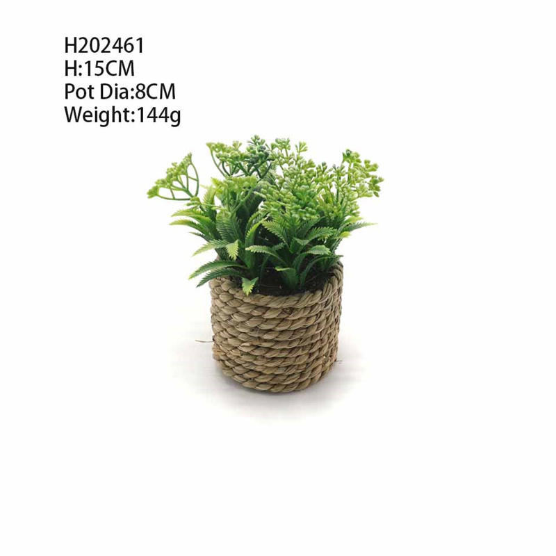 Le bureau est décoré de petites plantes vertes artificielles