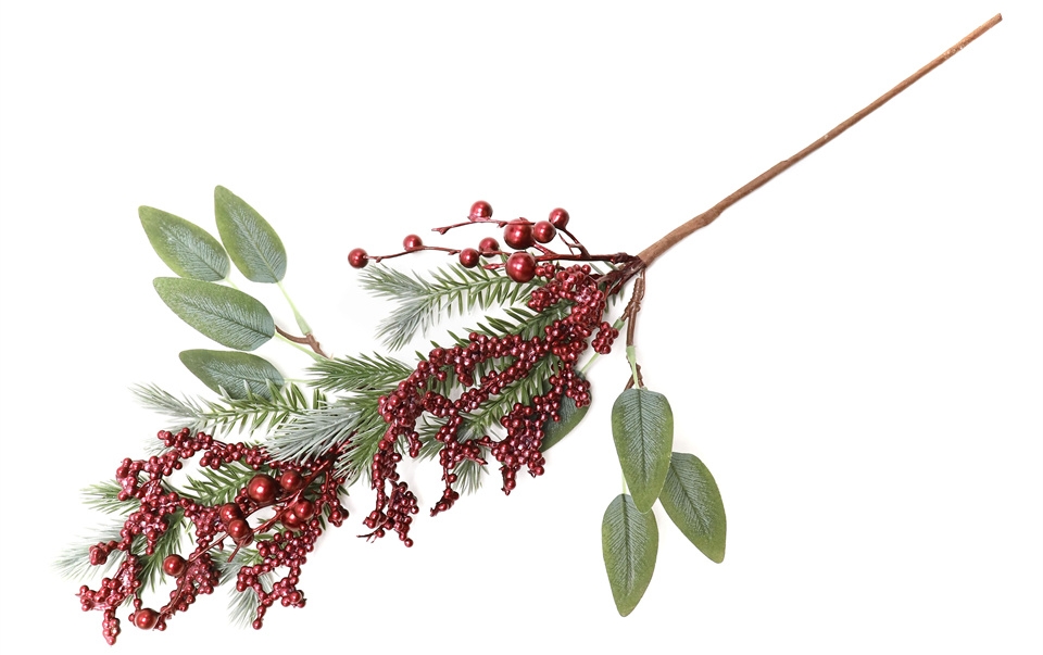 Berry Branch