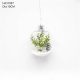 Hanging Decorative Transparent Plastic Ball