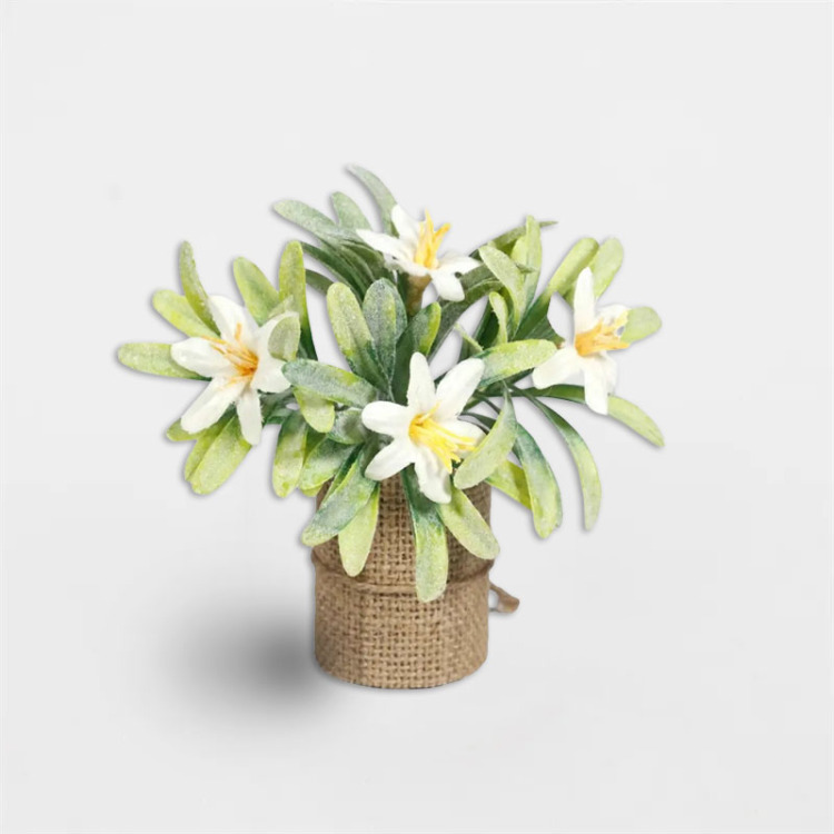 Pequeñas Plantas Bonsái Para Decoración De Pascua
