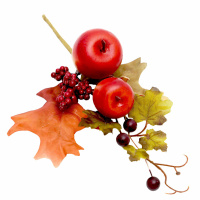 Autumn Decorations The Range