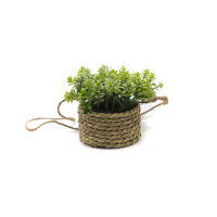 Simulated Hanging Of Potted Green Plants