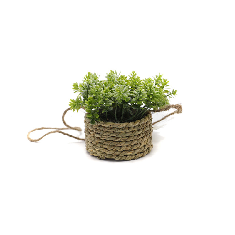 Simulated Hanging Of Potted Green Plants
