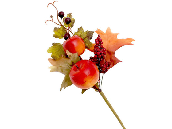 Autumn Decorations The Range