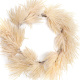 Pampas Decorative Dry Flower Wreath