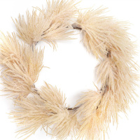 Pampas Decorative Dry Flower Wreath