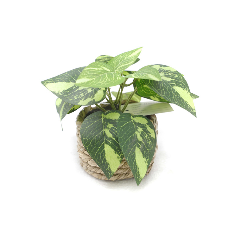 The Interior Is Decoration With Small Fake Green Plants