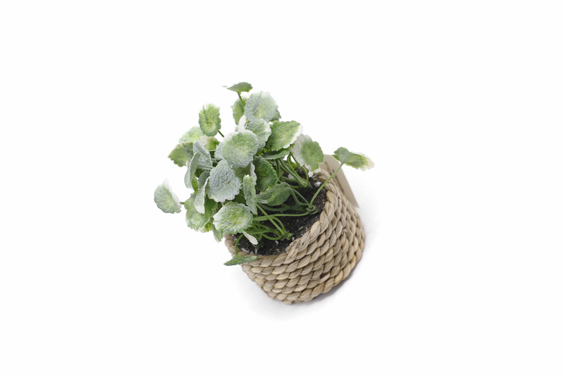 Artificial Green Plant Home Decoration Small Potted Plant