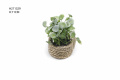 Artificial Green Plant Home Decoration Small Potted Plant