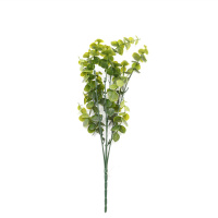Green Plant In A Vase On A Table Decoration