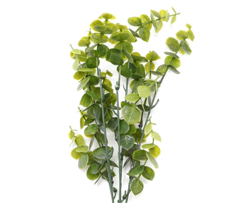 Green Plant In Vase