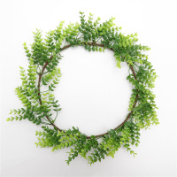 Fake Living Walls Decoration With Artificial Green Wreath