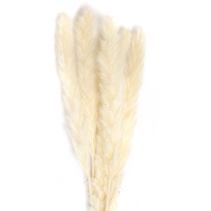 Outdoor Decor White Pampas Grass