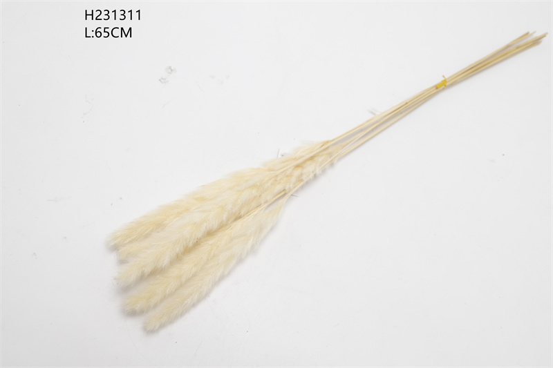 Outdoor Decor White Pampas Grass