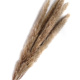 Outdoor Decor Real Brown Pampas Grass