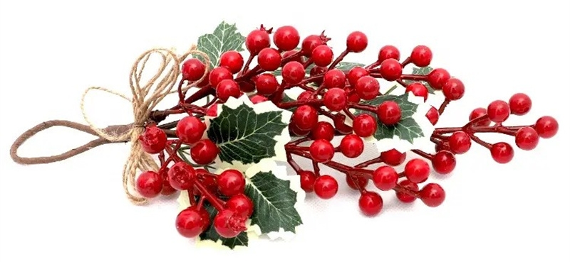 Red Berries Hanging Upside Down