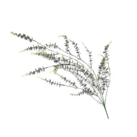 Outdoor Walls Are Decor With Green Hanging Plants