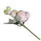 Home Decor Easter Egg Sprigs Branch