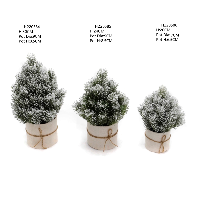 Home Decoration Plants